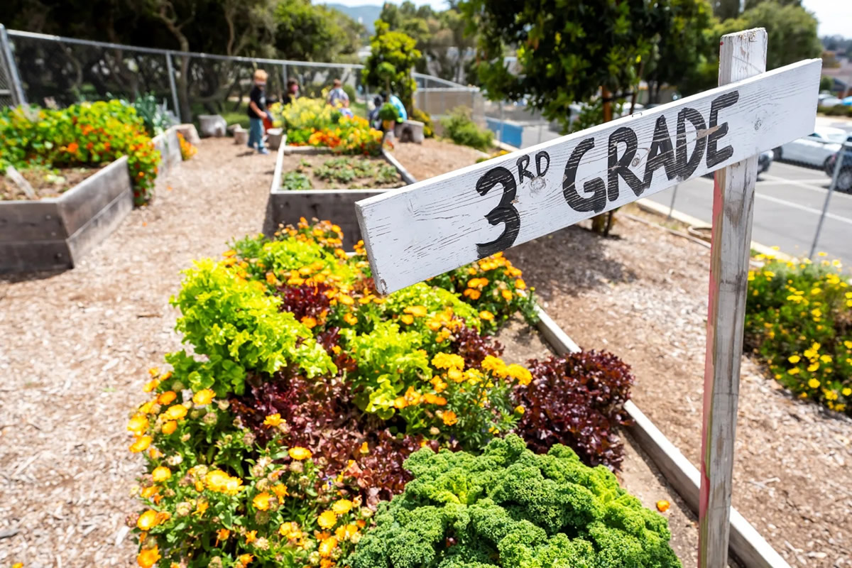 SanLuis Costal SD garden